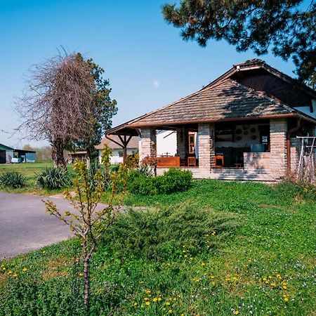 Sun City Vizisport Paradicsom Hódmezővásárhely Esterno foto