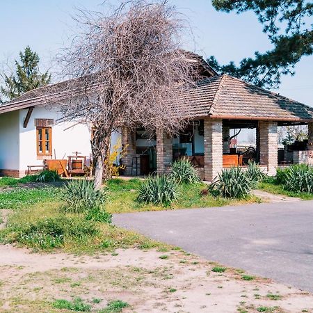 Sun City Vizisport Paradicsom Hódmezővásárhely Esterno foto